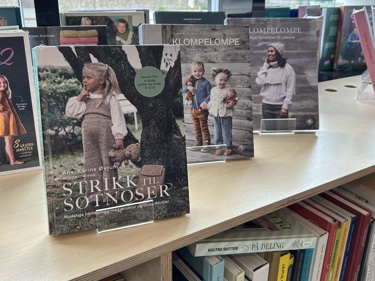 bøker som er utstilt på toppen av en bokhylle i små bokstativer