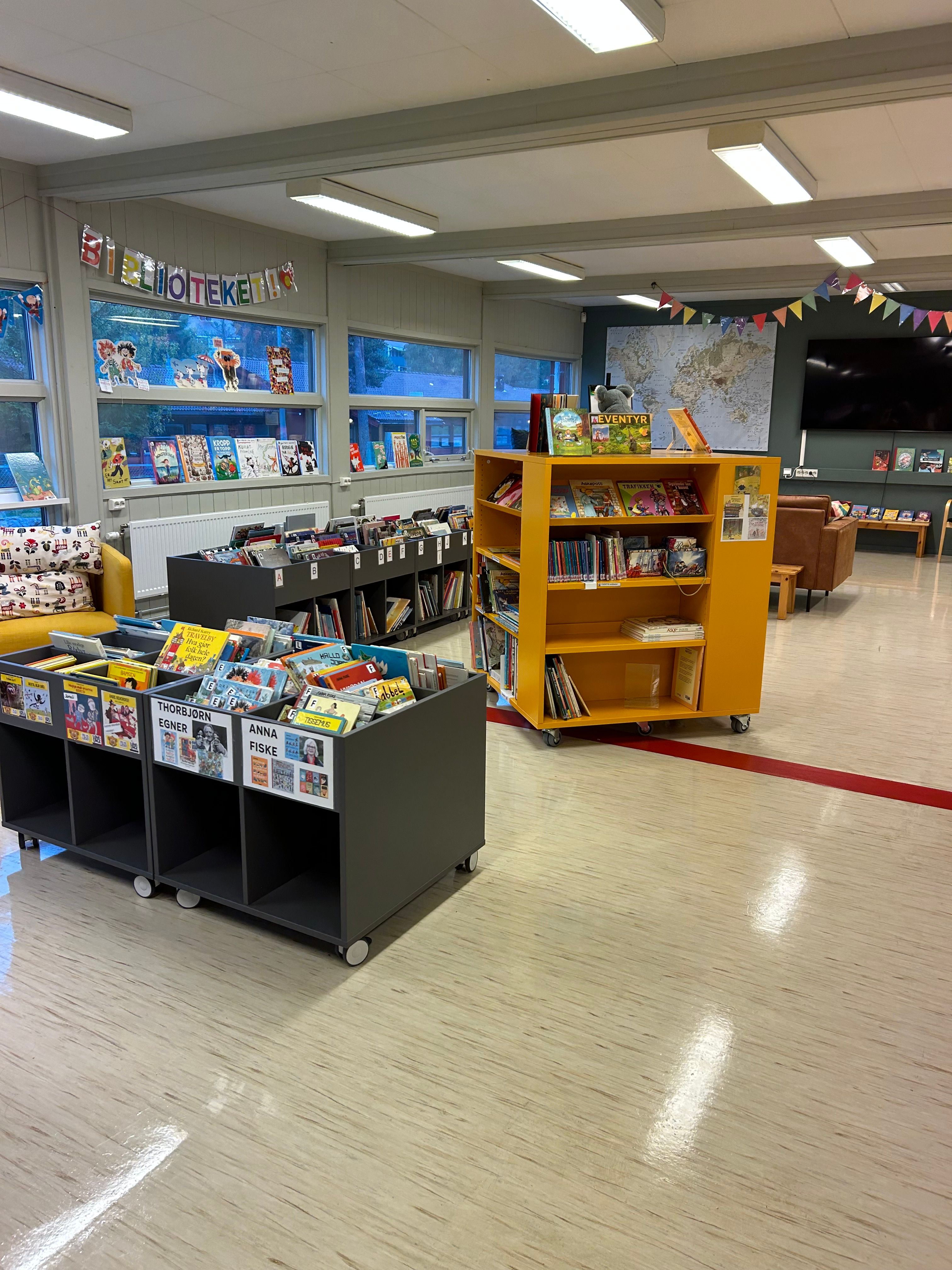 et bibliotek fylt med bøker, inkludert en som heter Anna