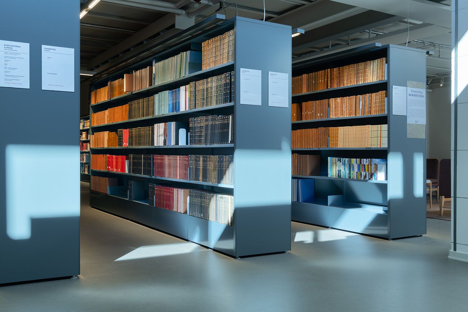 Grey library shelves packed with books, with sharp sunlight and shadows on the floor.