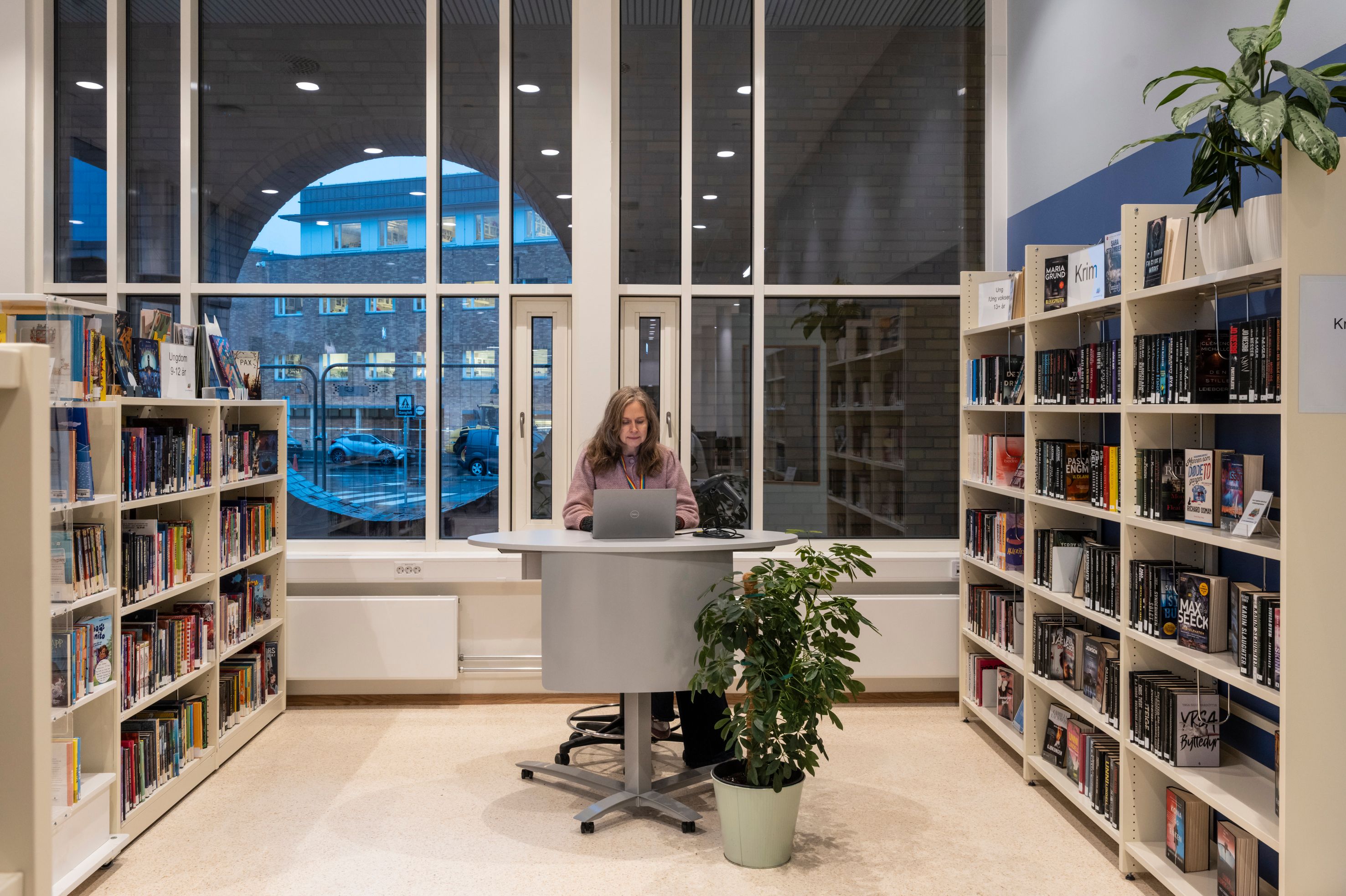 A lirarian works on a laptop at a desk in a library with bookshelves and a large window showing an outdoor view.