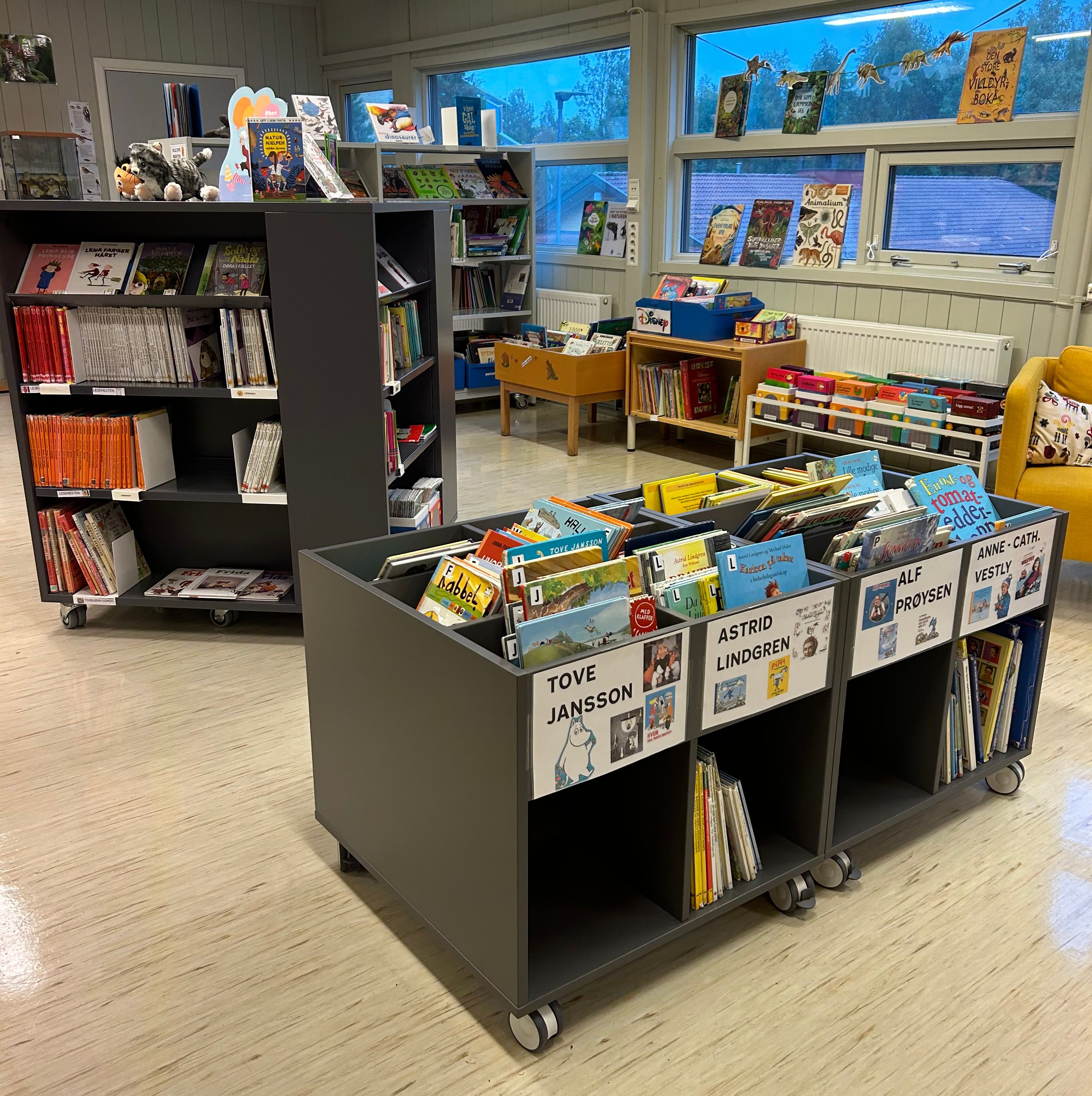 a library filled with books including one by tove jansson