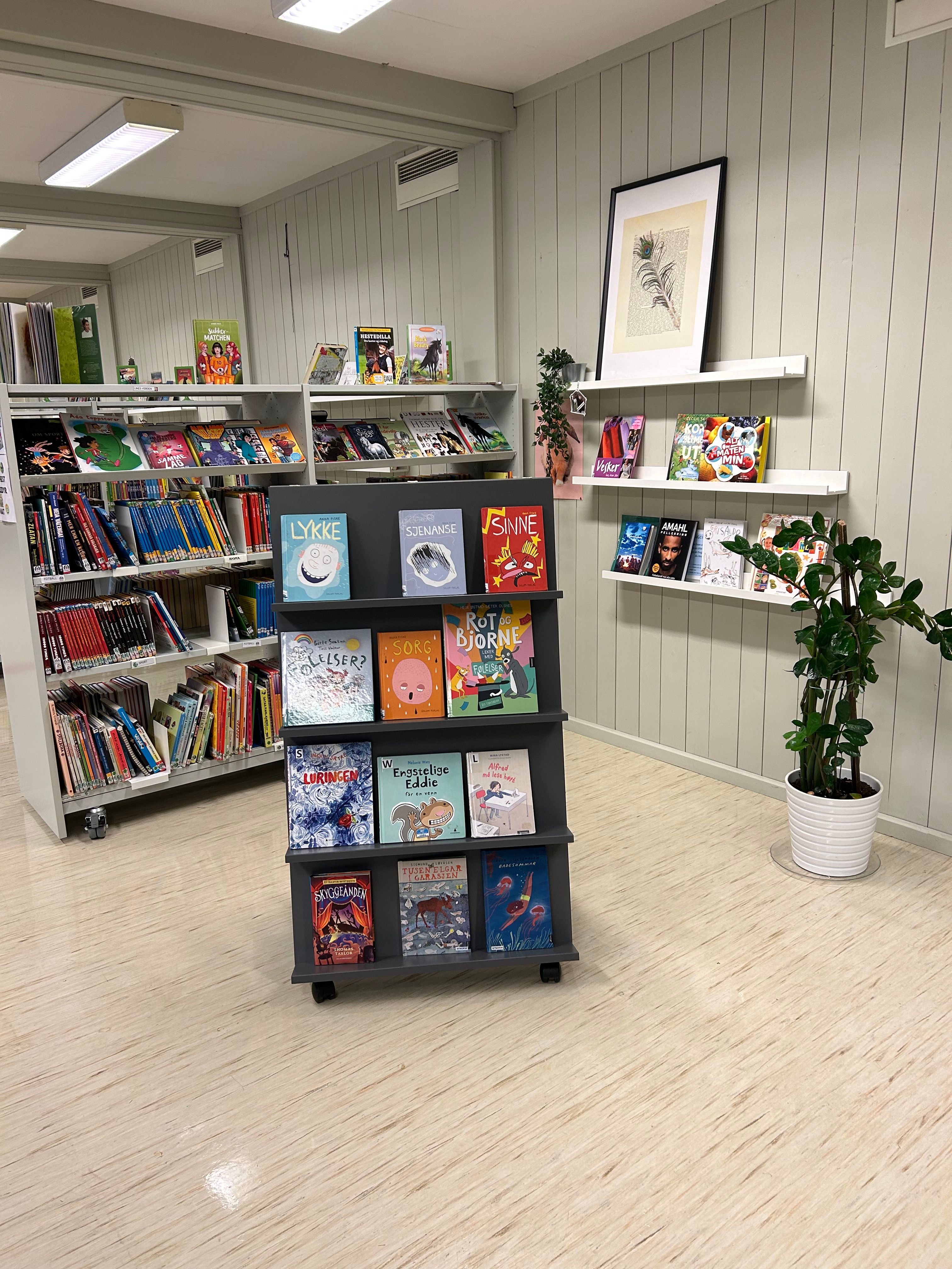 en bok kalt lykke sitter på en hylle i et bibliotek