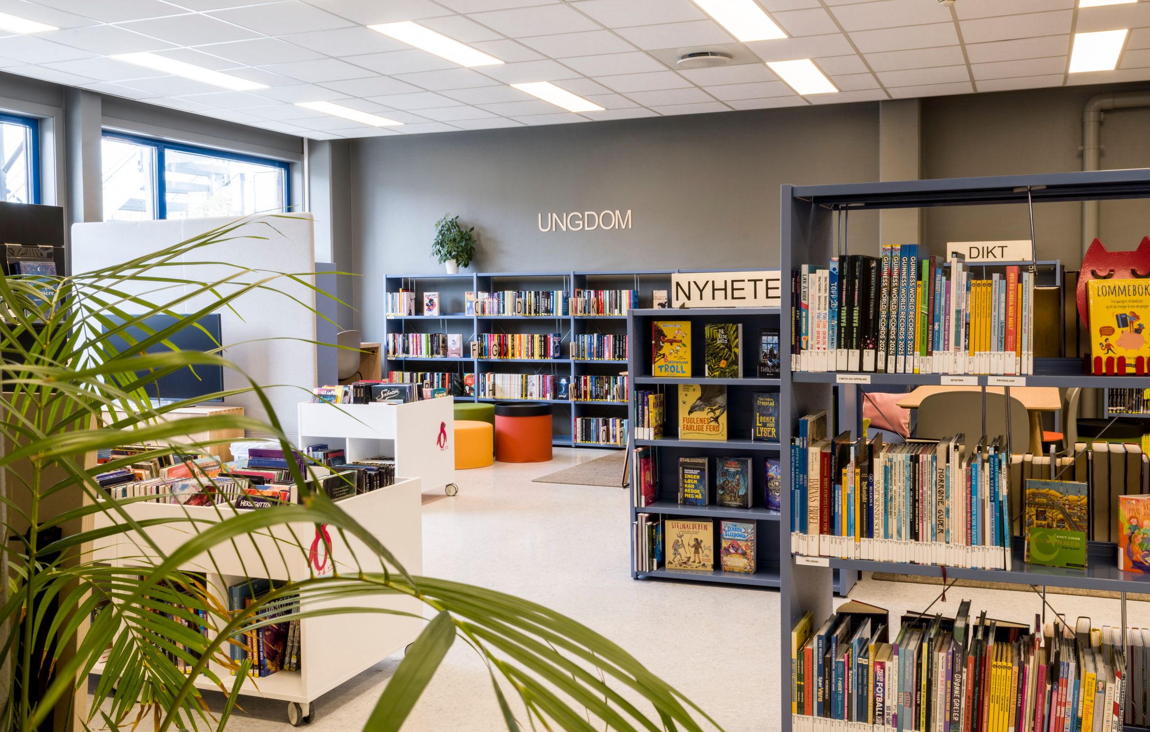 et bibliotek med mange bokreoler fylt med bøker