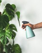 Plant Mister