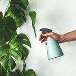 Plant Mister