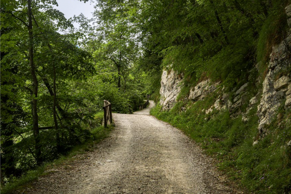 Freeze, Fawn, Fight or Flight: CPTSD and the Four Responses to Trauma