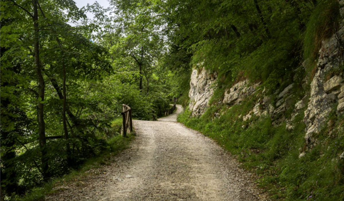 Freeze, Fawn, Fight or Flight: CPTSD and the Four Responses to Trauma