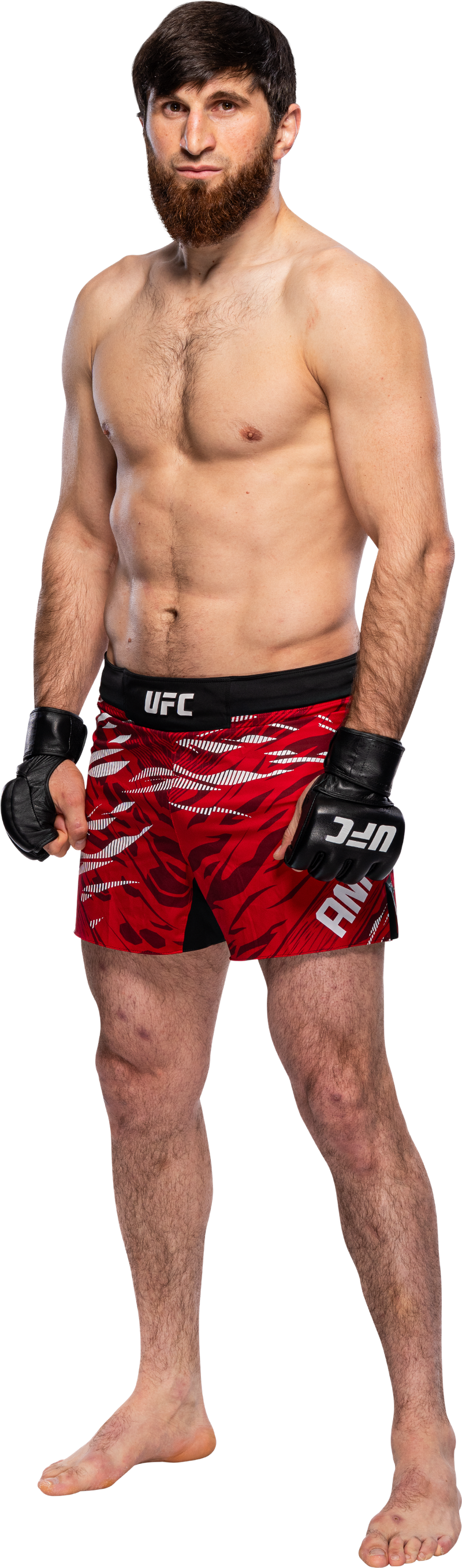 Magomed Ankalaev