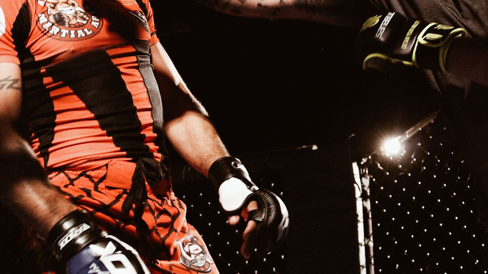 A boxer training, gloves up, in dramatic light