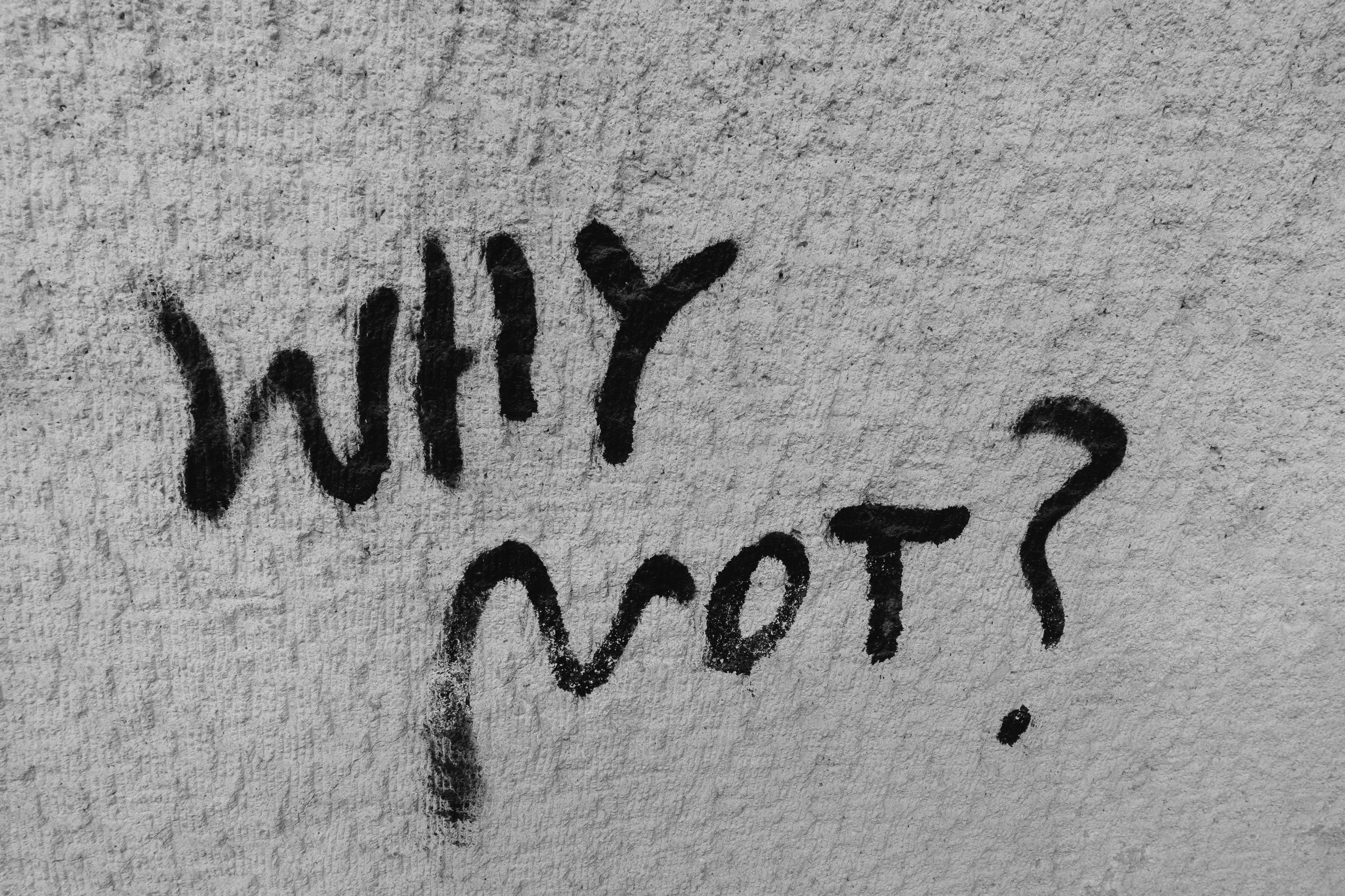 a black and white photo of the word why not written on a wall .