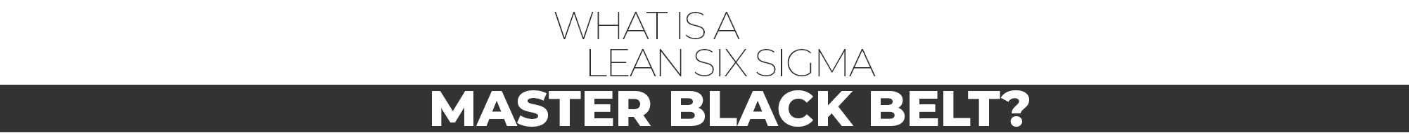 What is a Lean Six Sigma Master Black Belt?