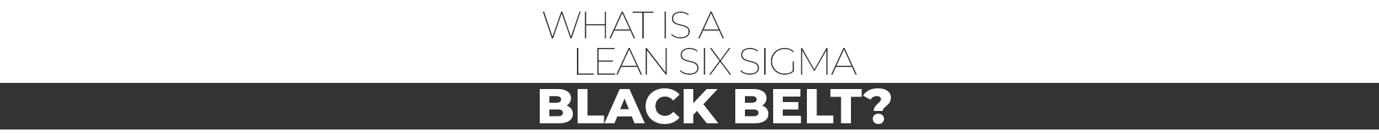 What is a Lean Six Sigma Black Belt?