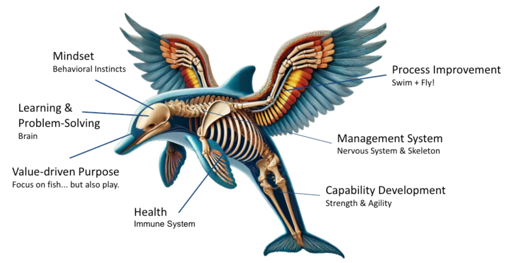 Anatomy of House of Lean As a Flying Dolphin