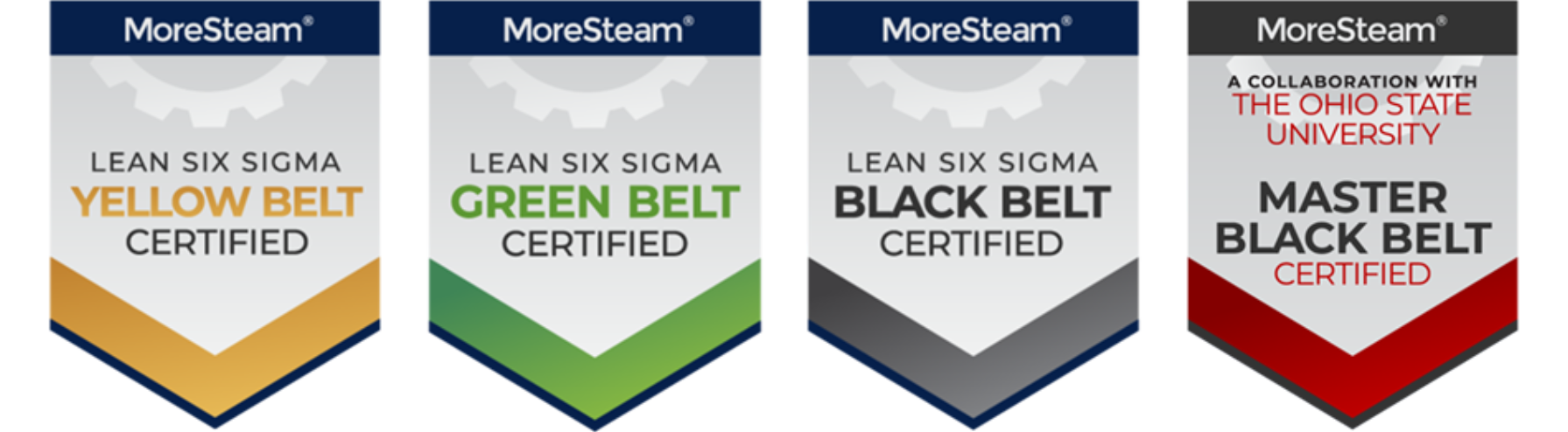What is Lean Six Sigma MoreSteam