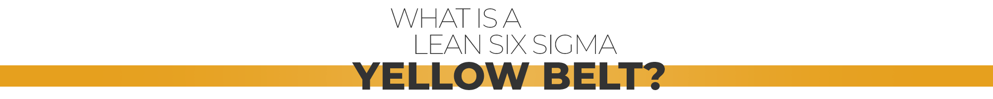 What is a Lean Six Sigma Yellow Belt?