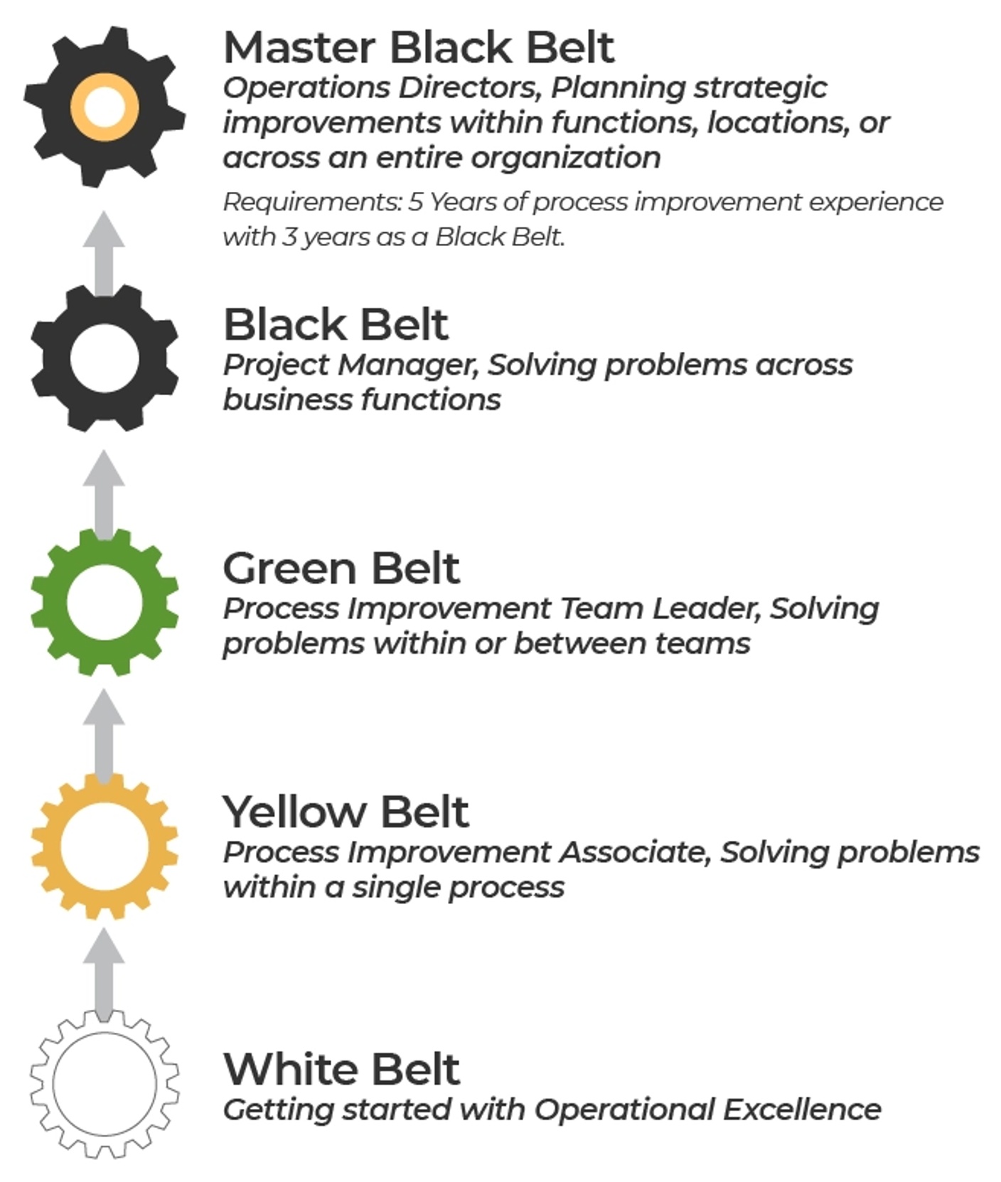 Lean Six Sigma Belt Levels Explained Infographic