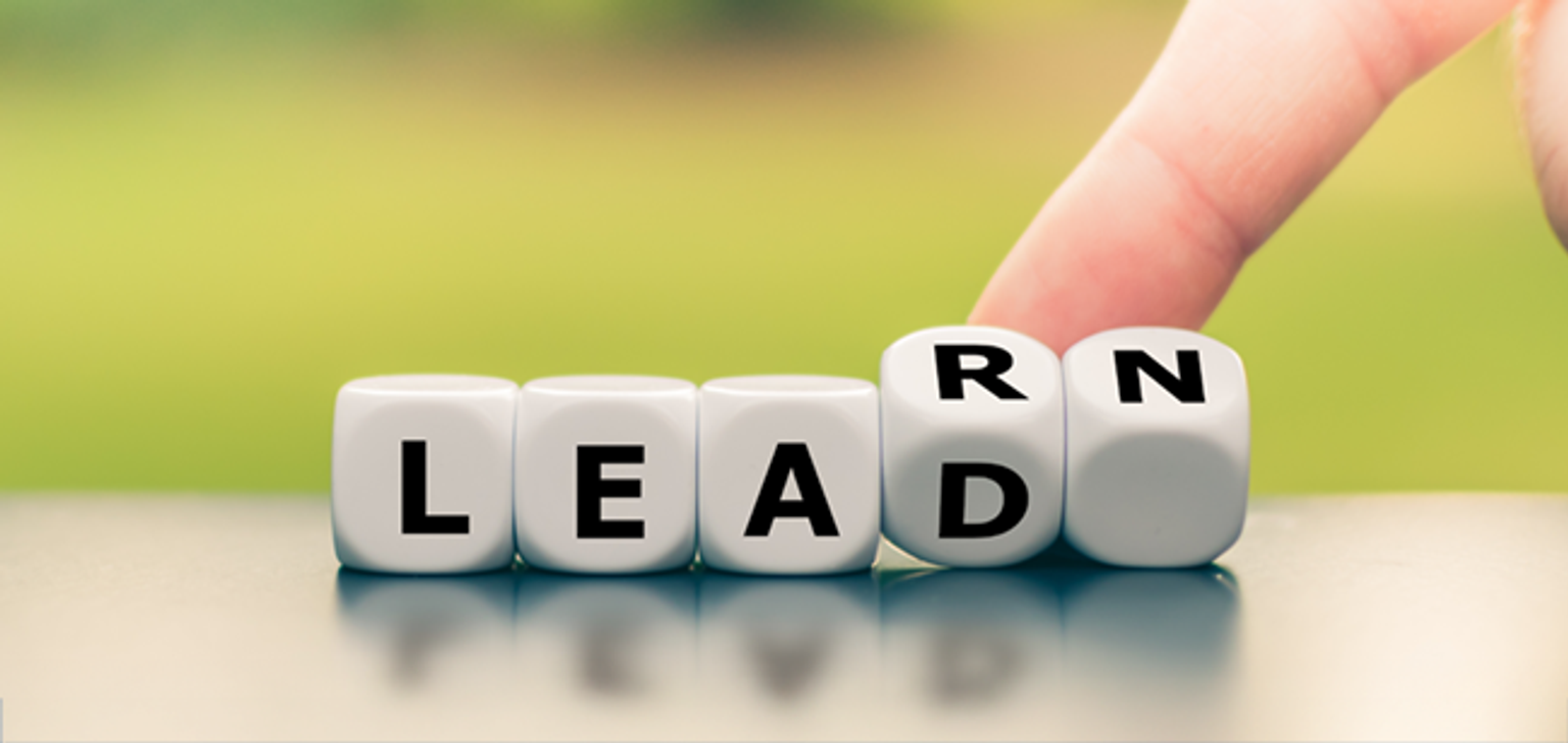 Dice that spell Lead and Learn