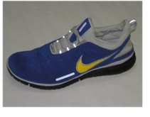 Blue Nike Shoe