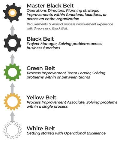 Lean Six Sigma Belt Levels Explained | MoreSteam