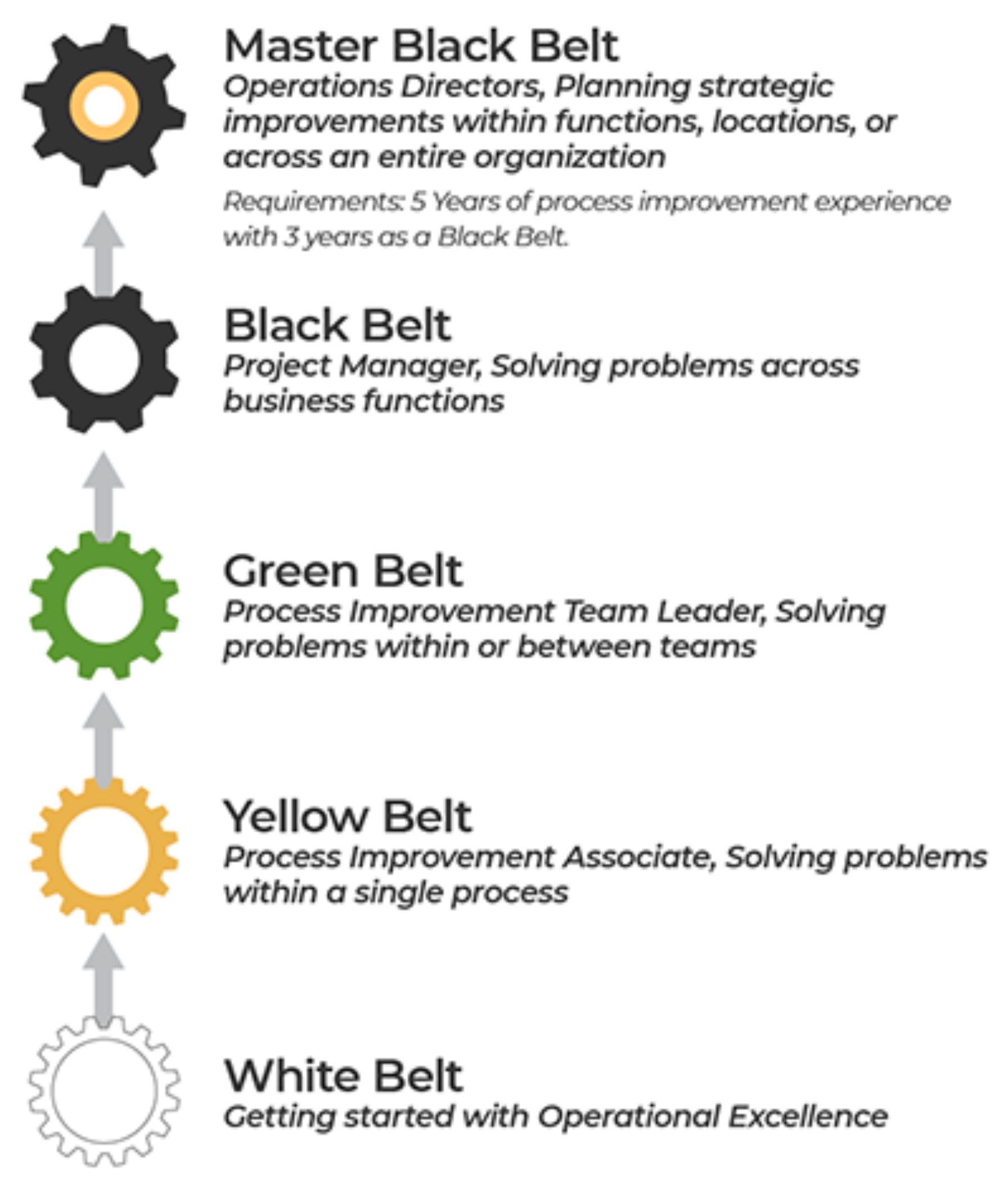 Lean Six Sigma Belt levels and how they support each other