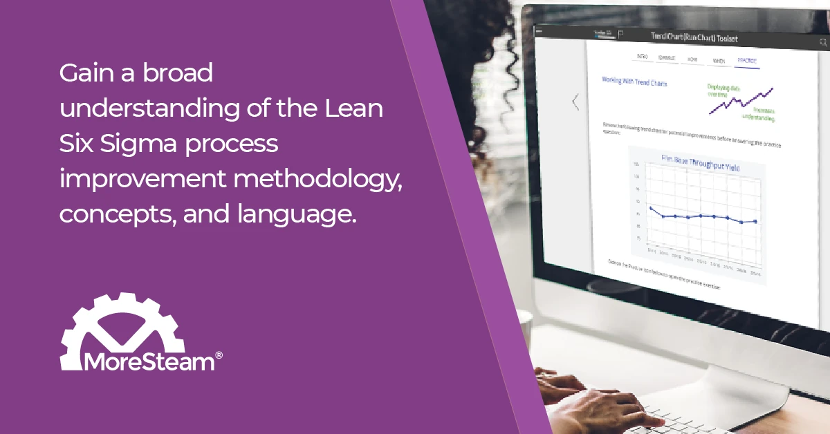 Lean Six Sigma Overview Course | MoreSteam