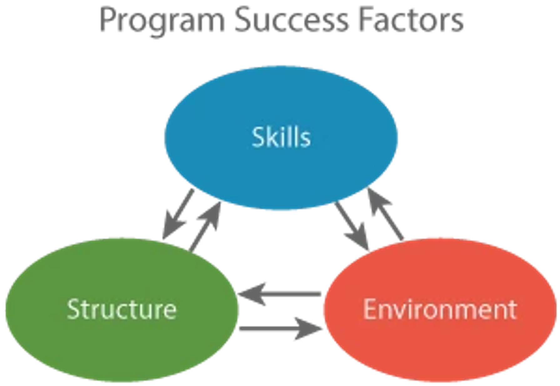 Program Success Factors Diagram