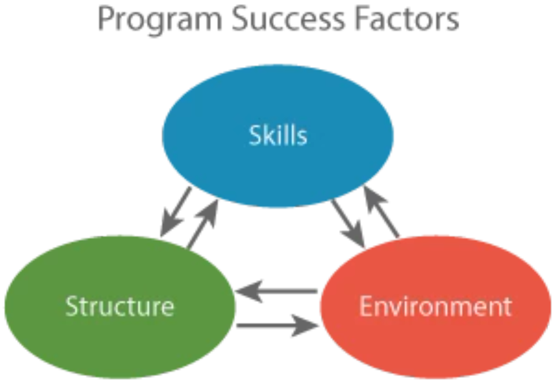 Program Success Factors Diagram