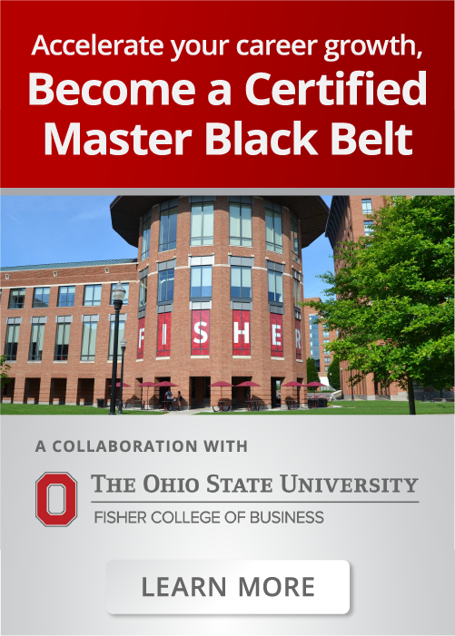 Learn more about the Master Black Belt Program