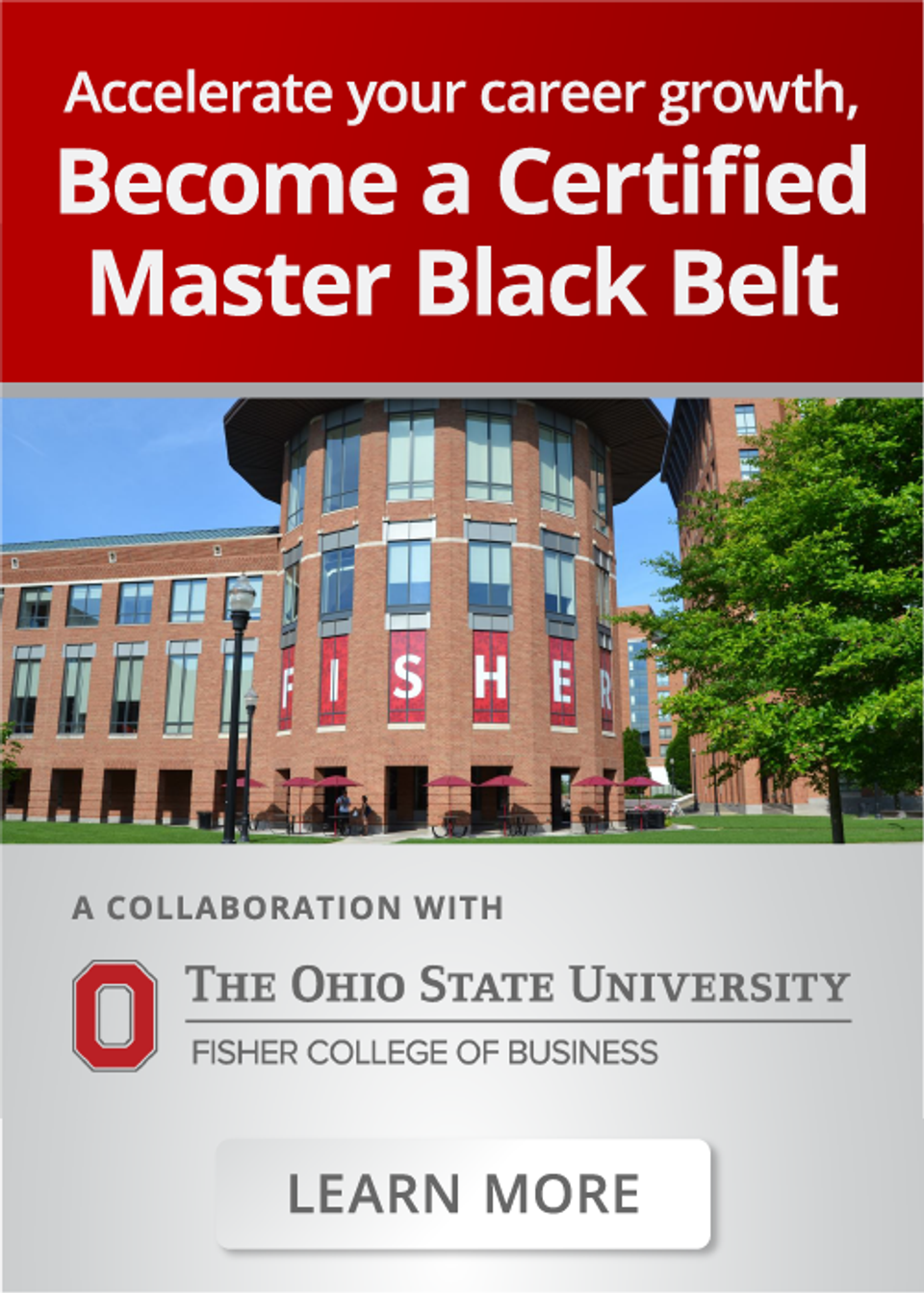 Learn more about the Master Black Belt Program