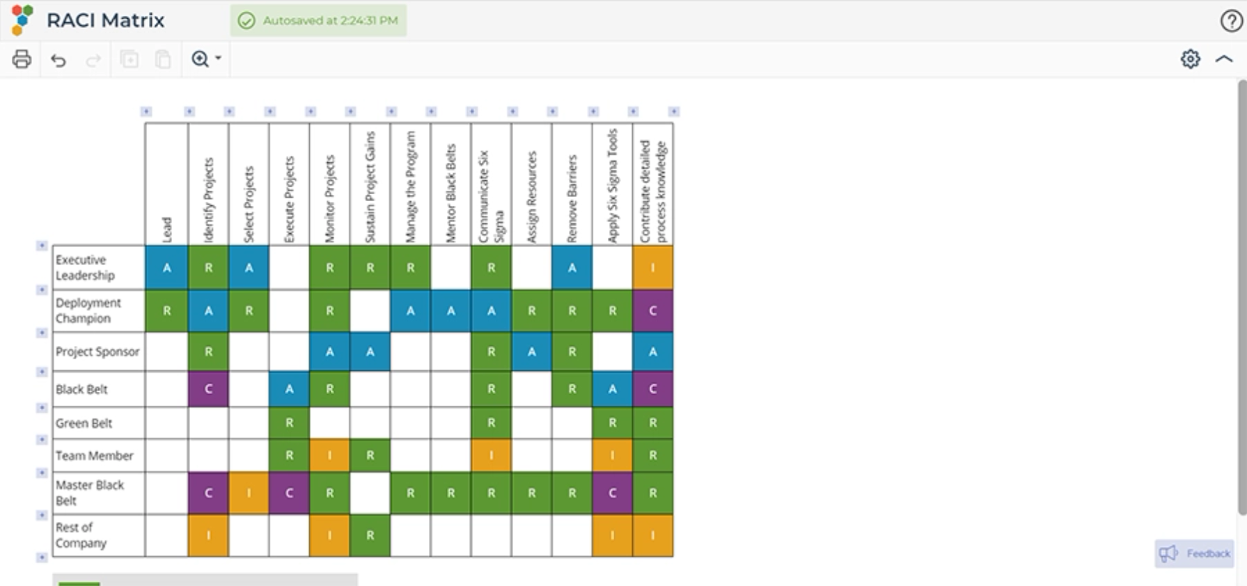 RACI matrix with completed input.