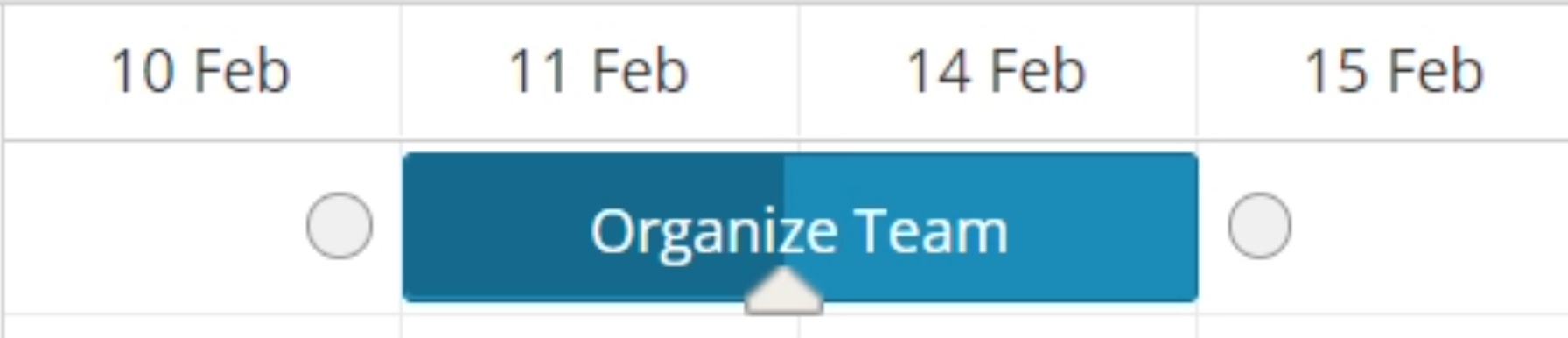 Gantt chart "Organize Team" button.
