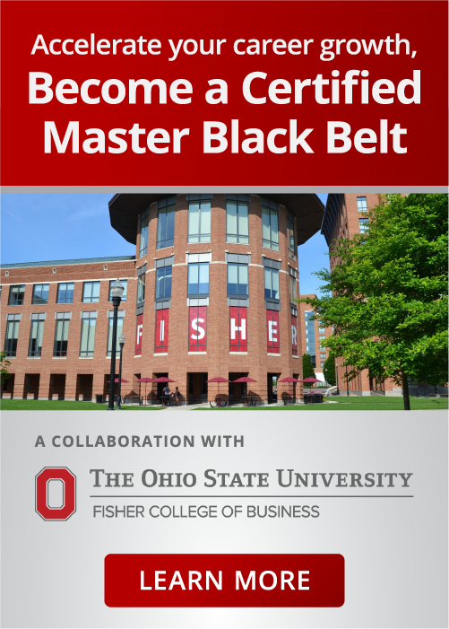 Learn more about the Master Black Belt Program