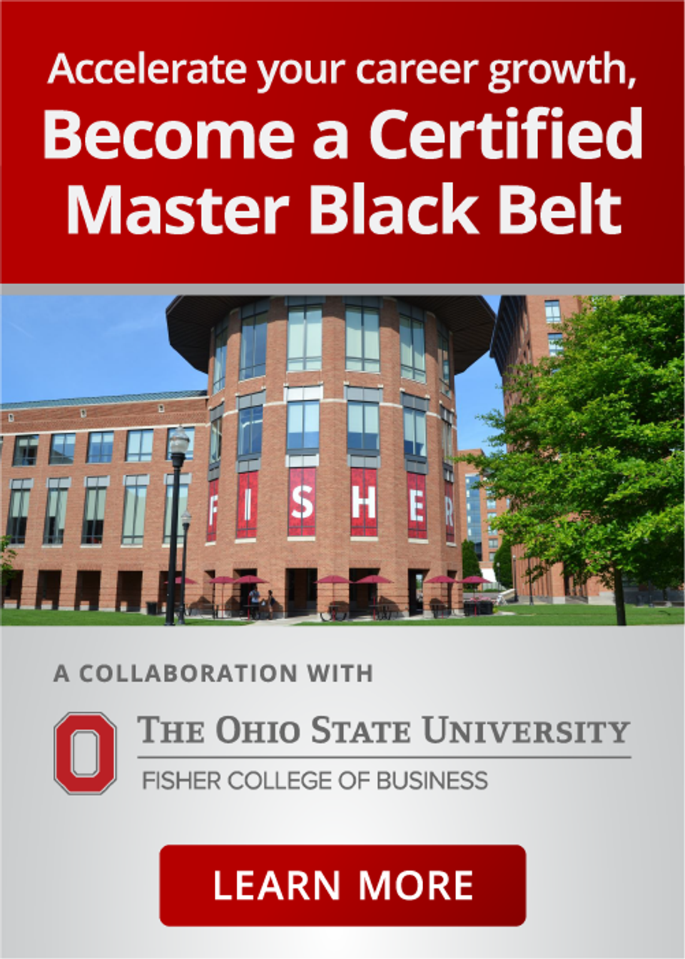 Learn more about the Master Black Belt Program