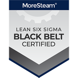 Lean Six Sigma Black Belt Badge