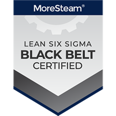 Lean Six Sigma Black Belt Badge