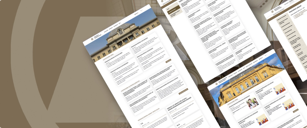 Snapshots of the website