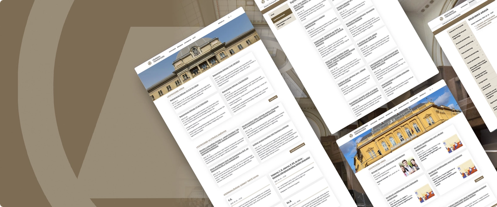 Snapshots of the website