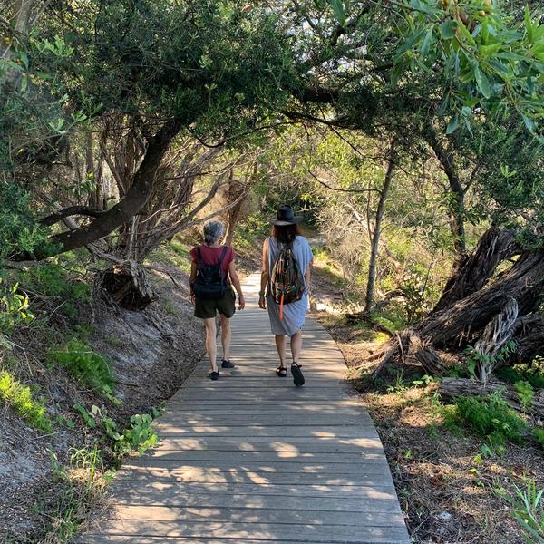 Walking the hermitage foreshore track