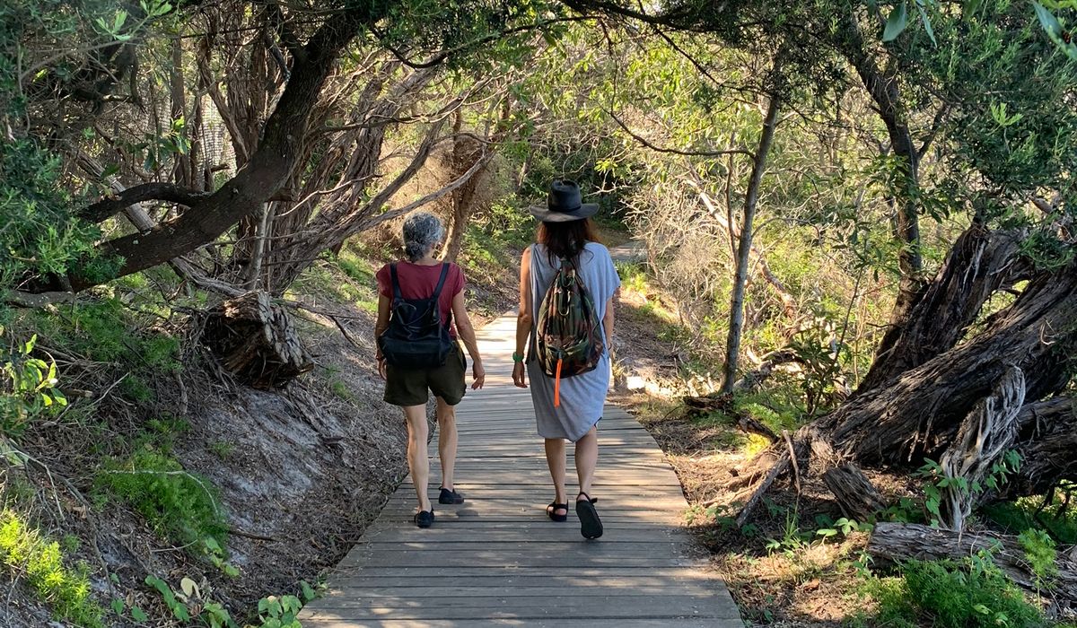 Walking the hermitage foreshore track