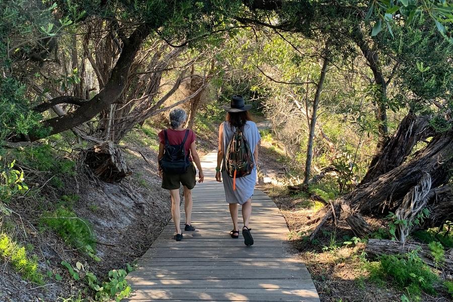 Walking the hermitage foreshore track