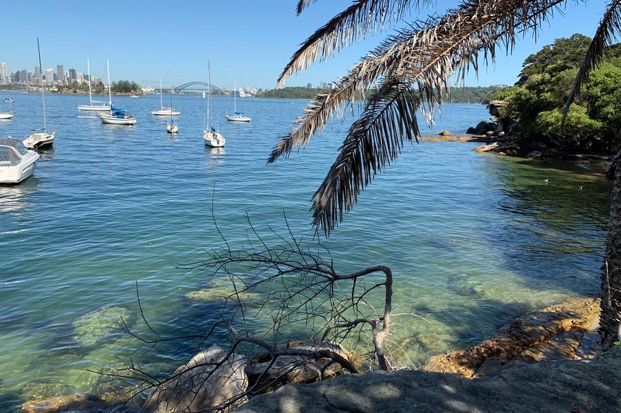 A view of the harbour from the hermitage walk