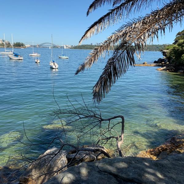 A view of the harbour from the hermitage walk
