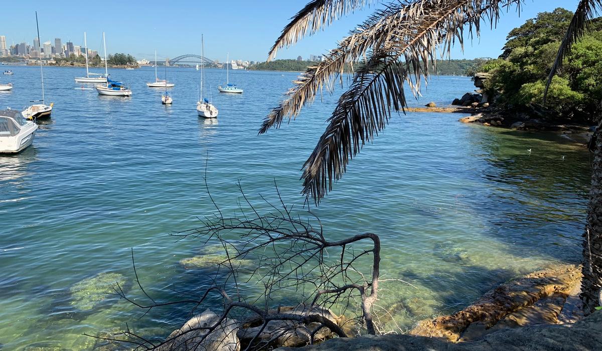 A view of the harbour from the hermitage walk