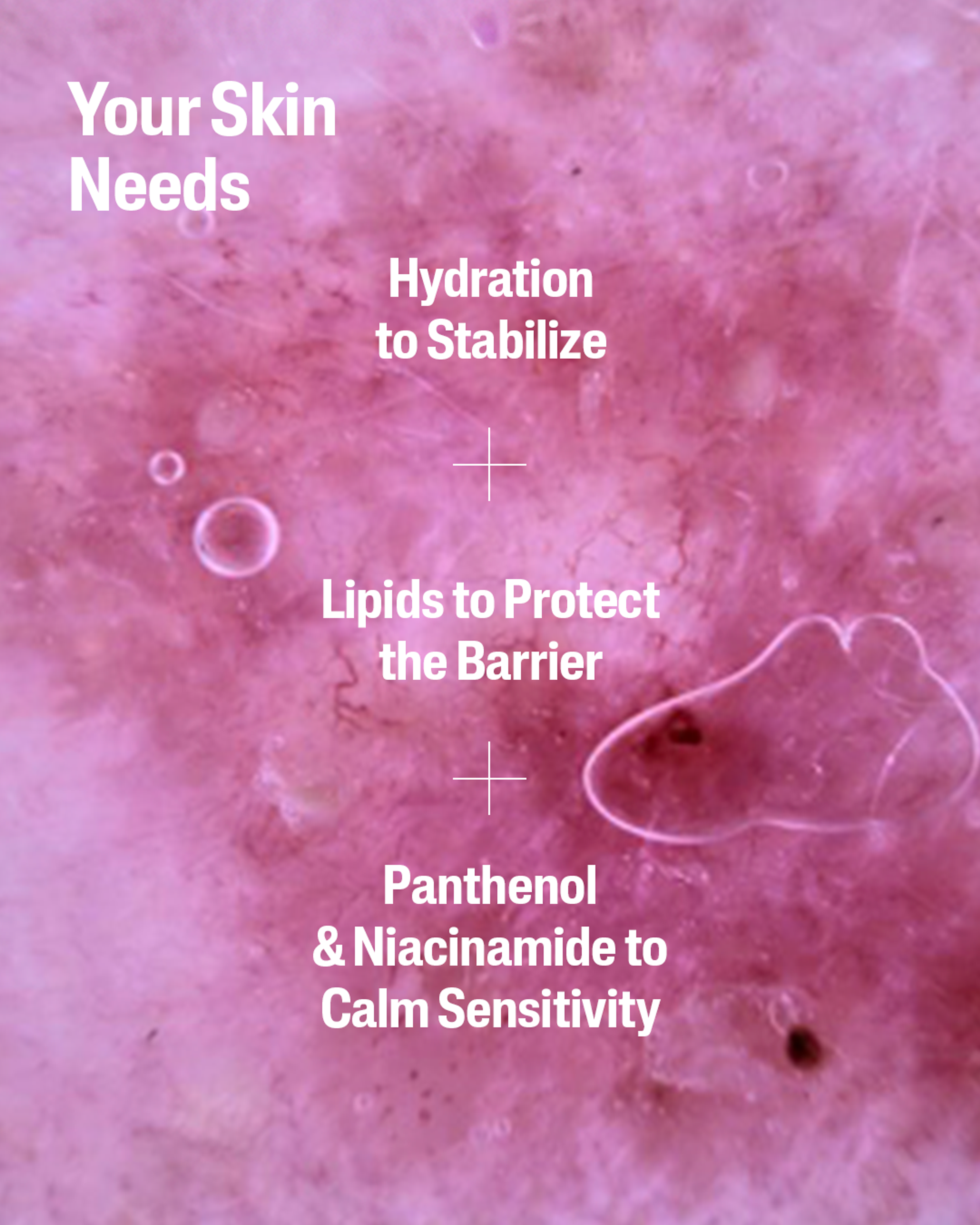 Cetaphil Science Assets 