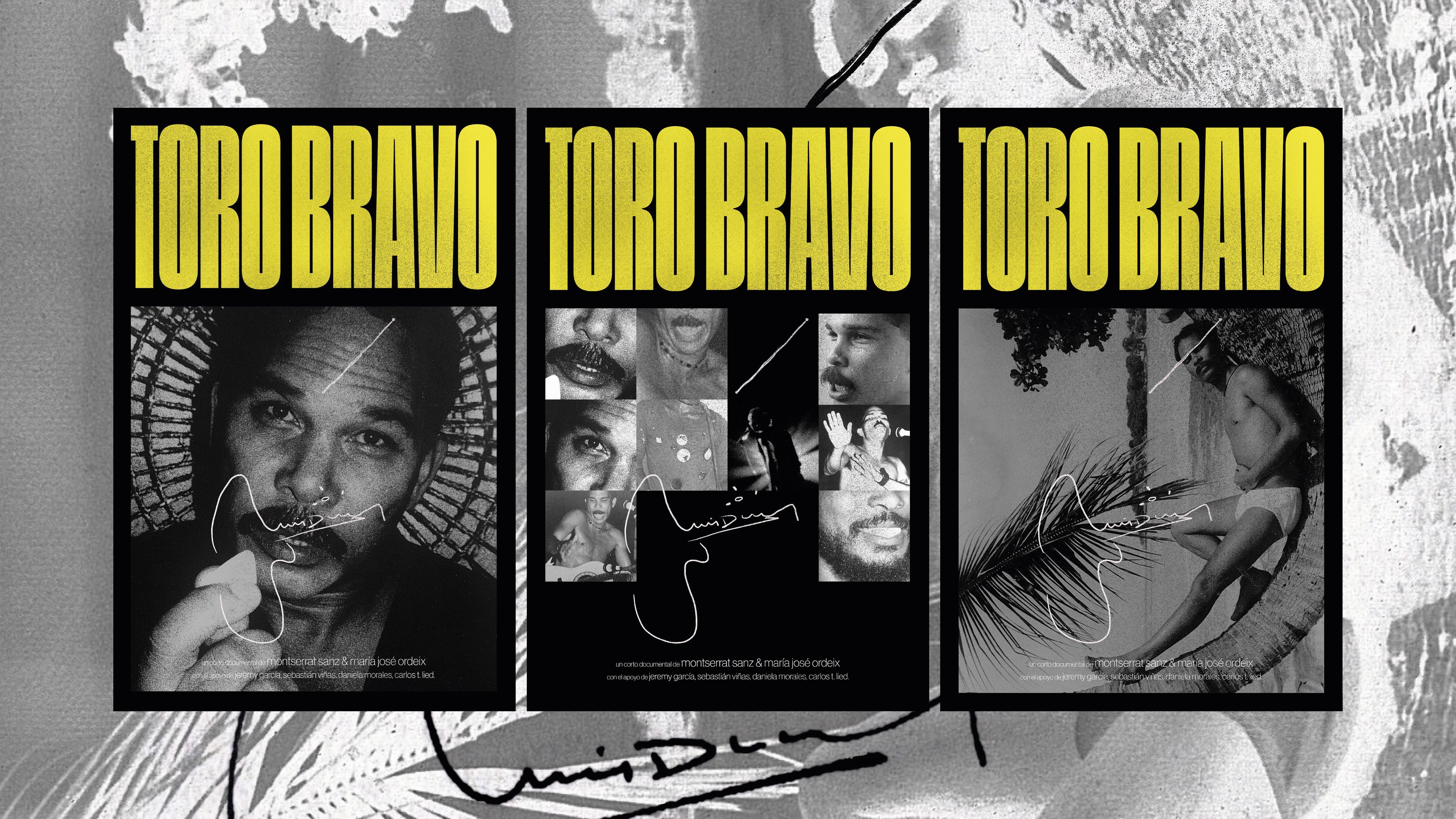 Toro Bravo Versiones