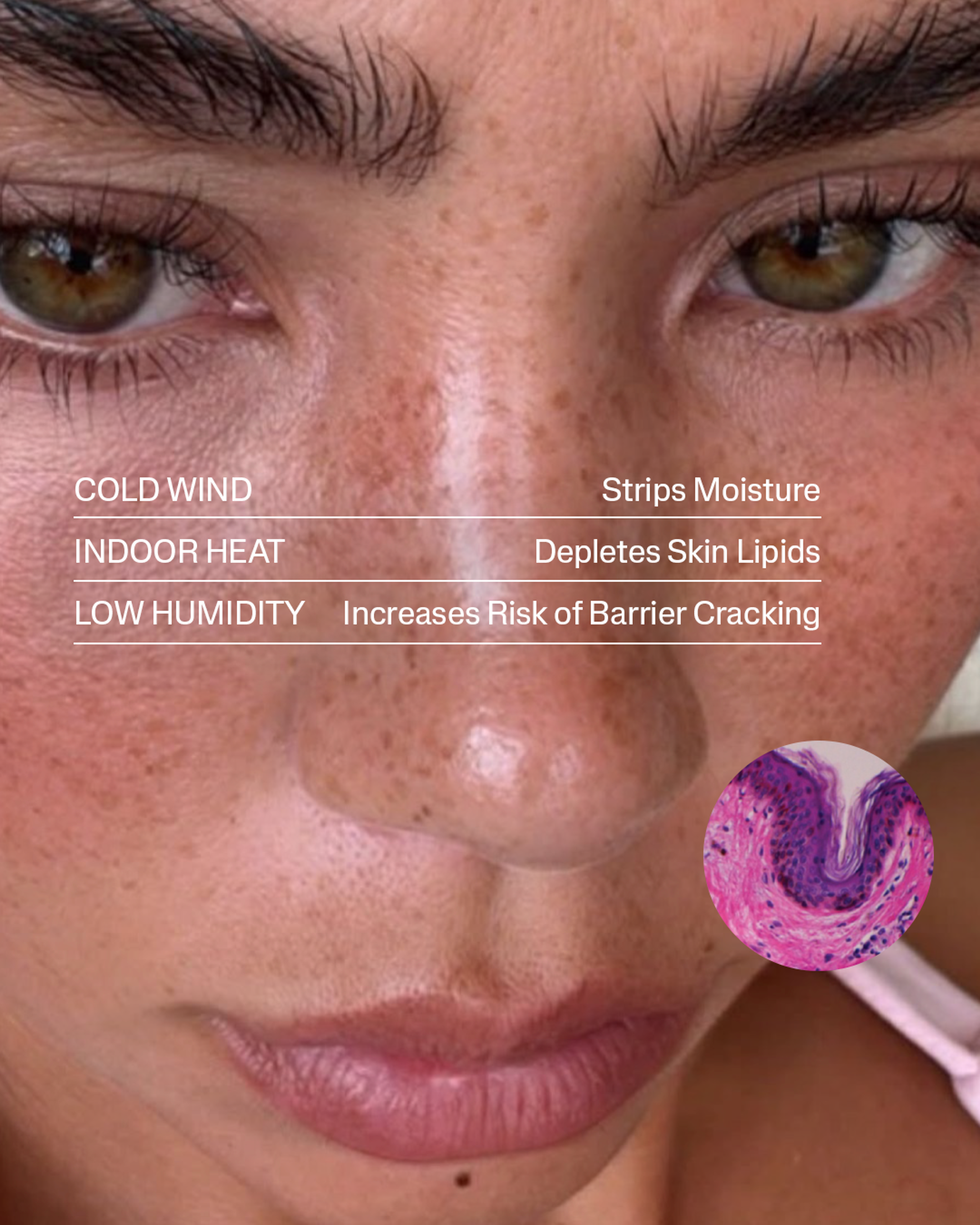 Cetaphil Science Assets 