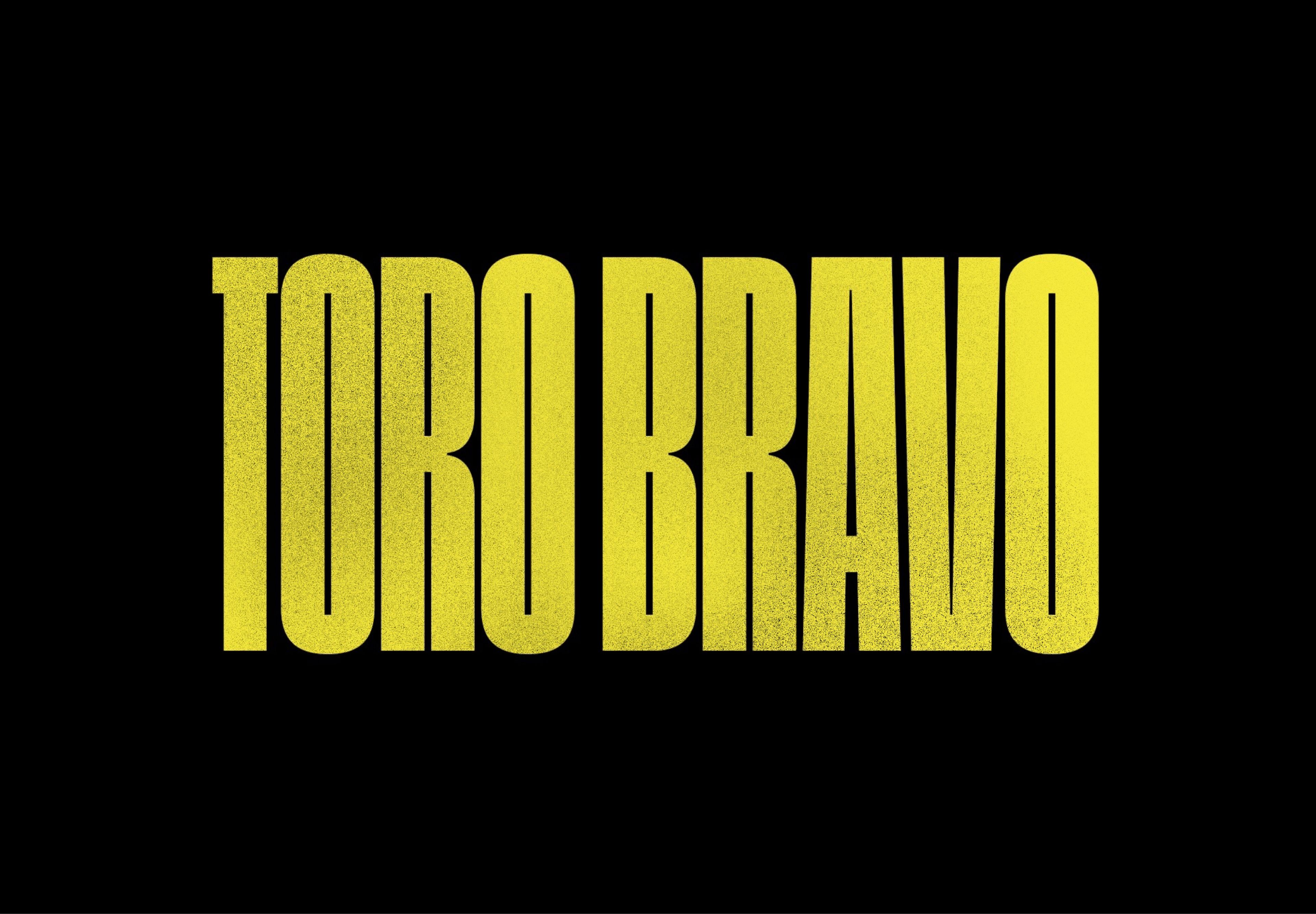 Toro Bravo Logo