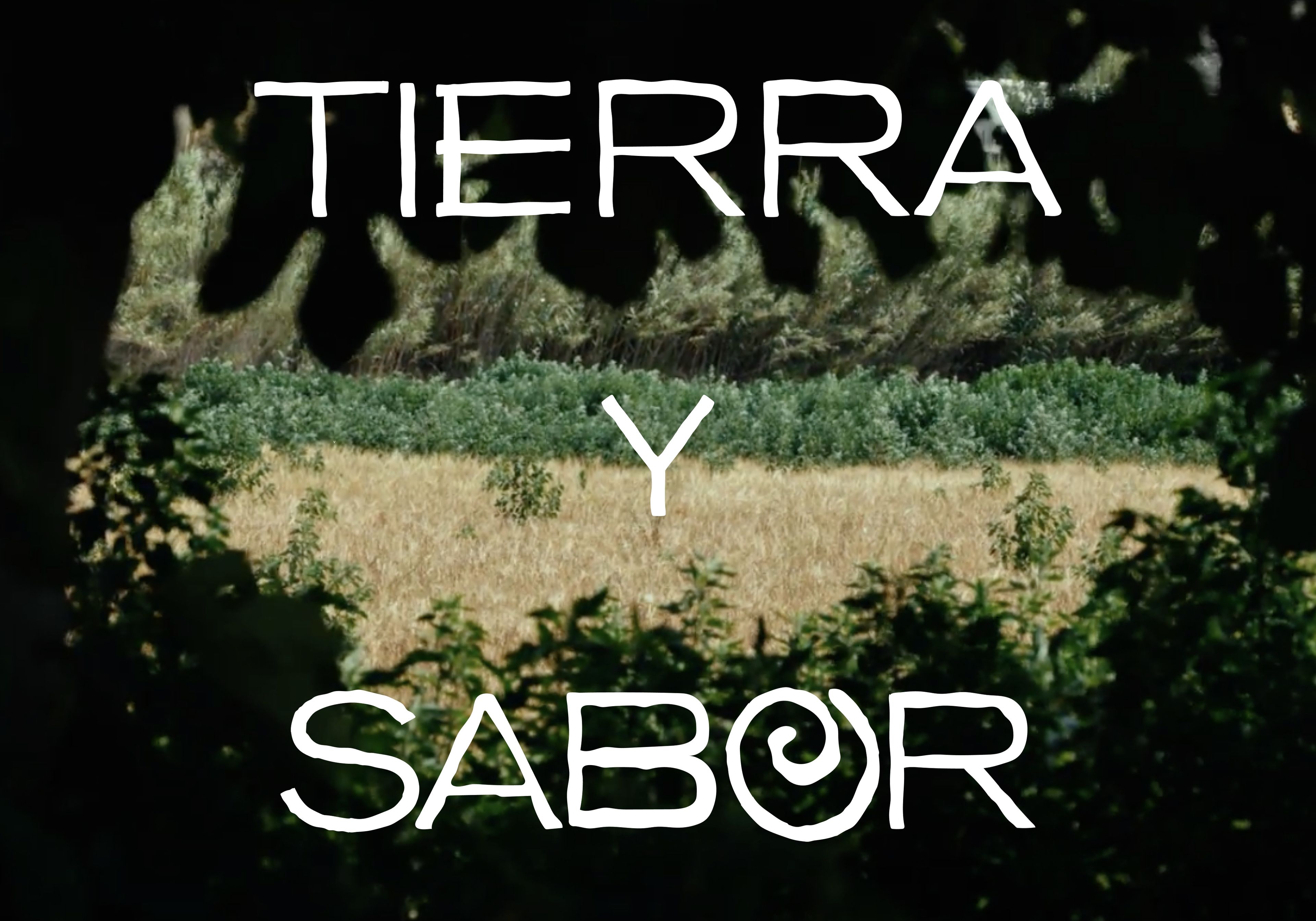 Tierra y Sabor / Xperience CaixaBank