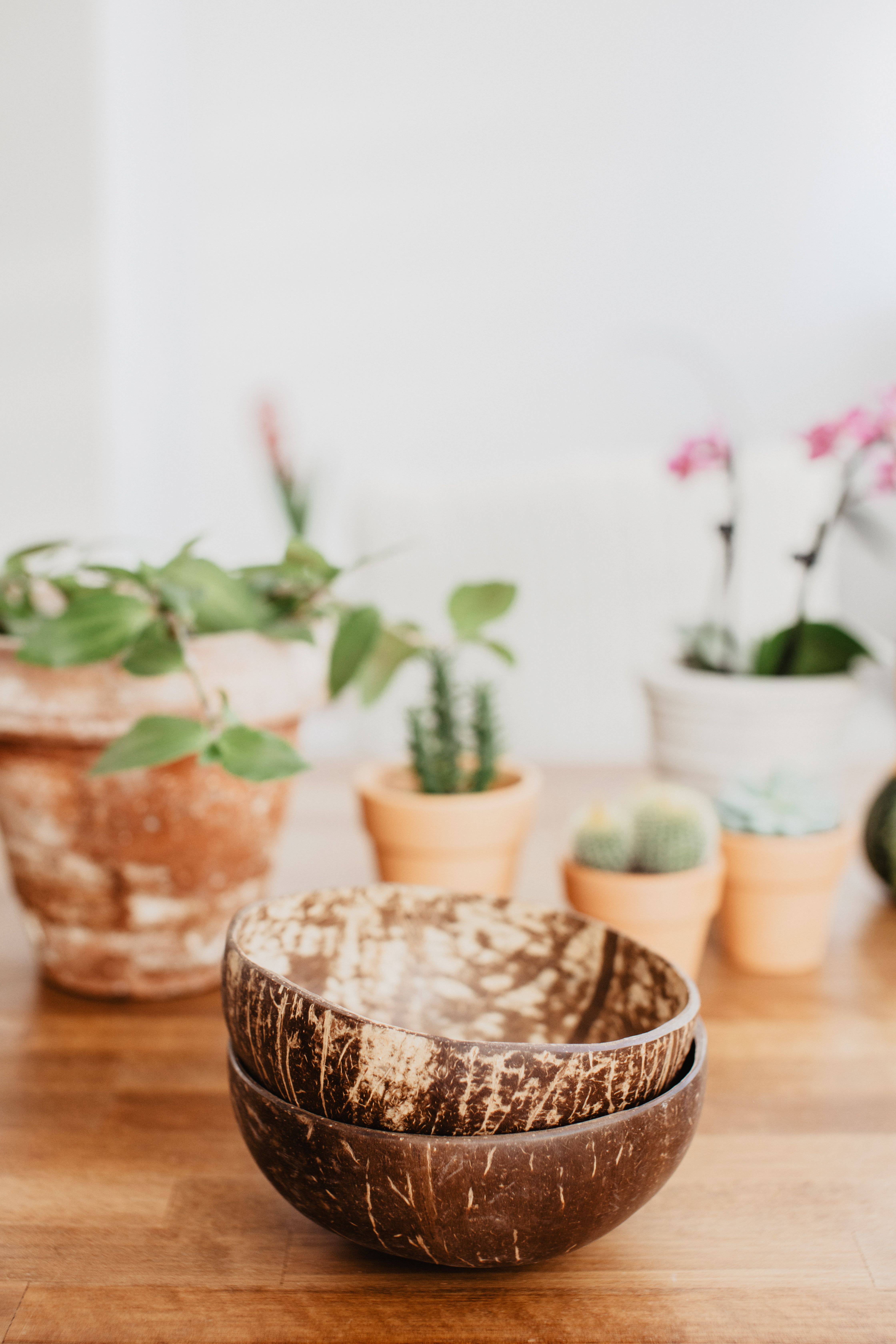 Coconut Bowls