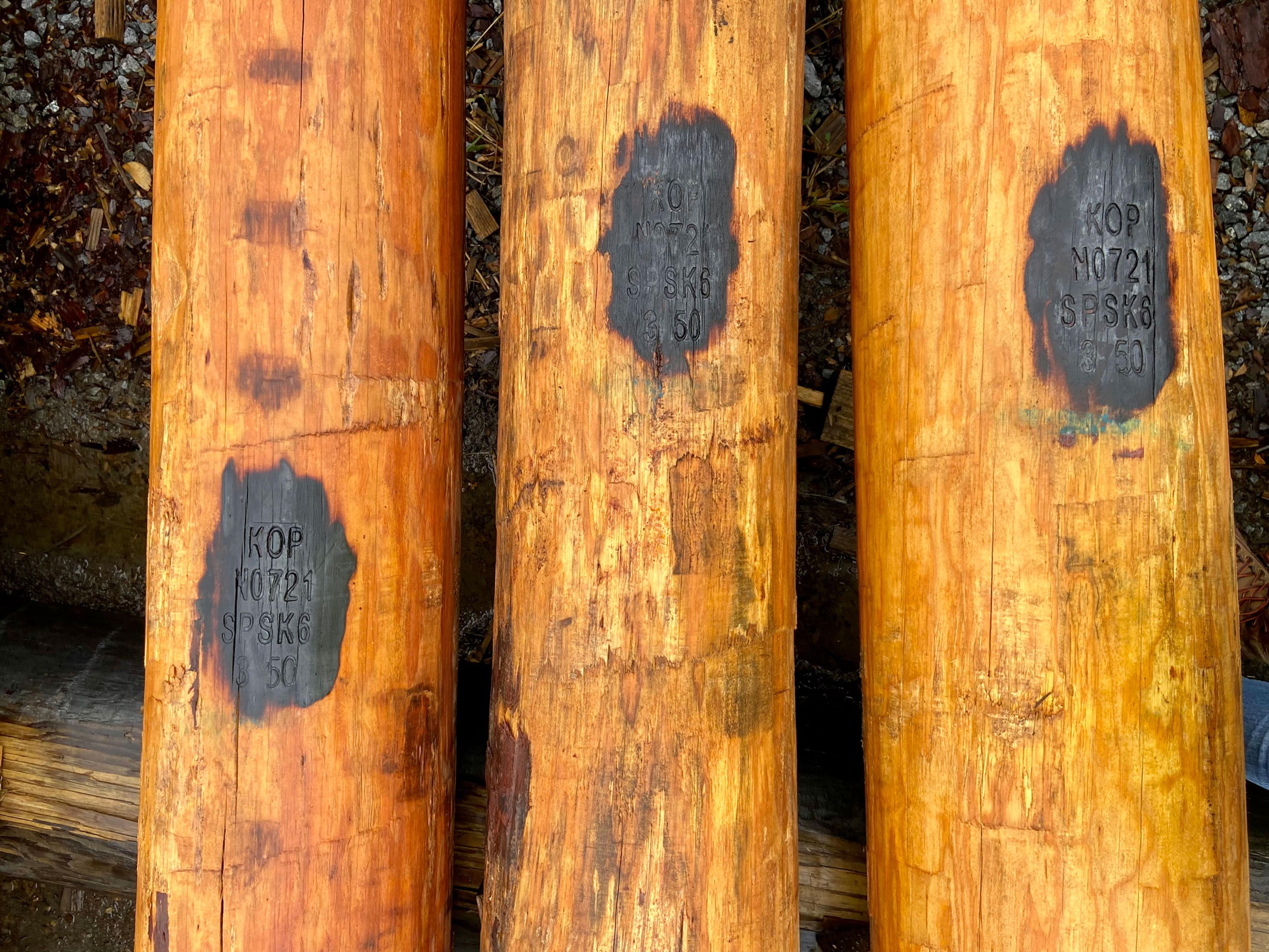 Utility poles with Koppers' mark